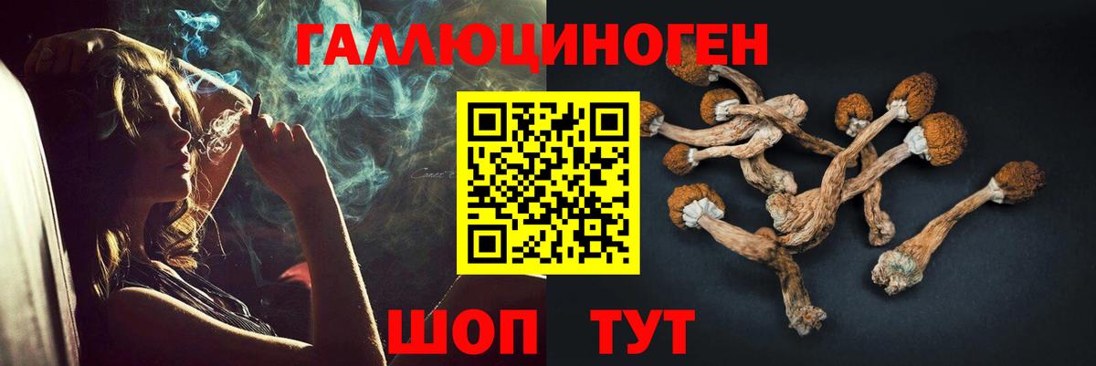 как найти наркотики  Вход с VPN  Красноуфимск  Галлюциногенные грибы Magic Shrooms 